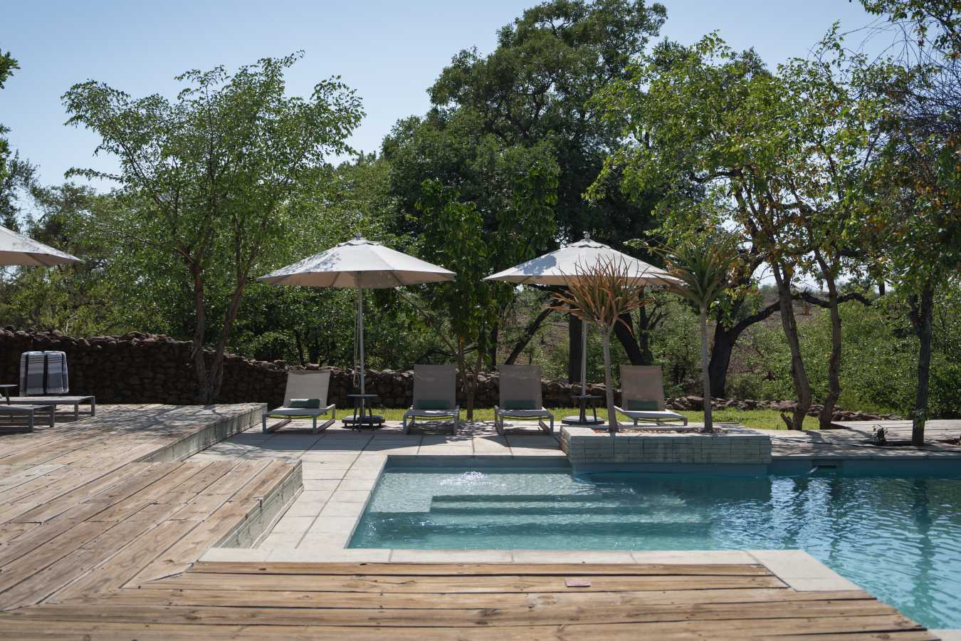 Mashatu Lodge- 18
