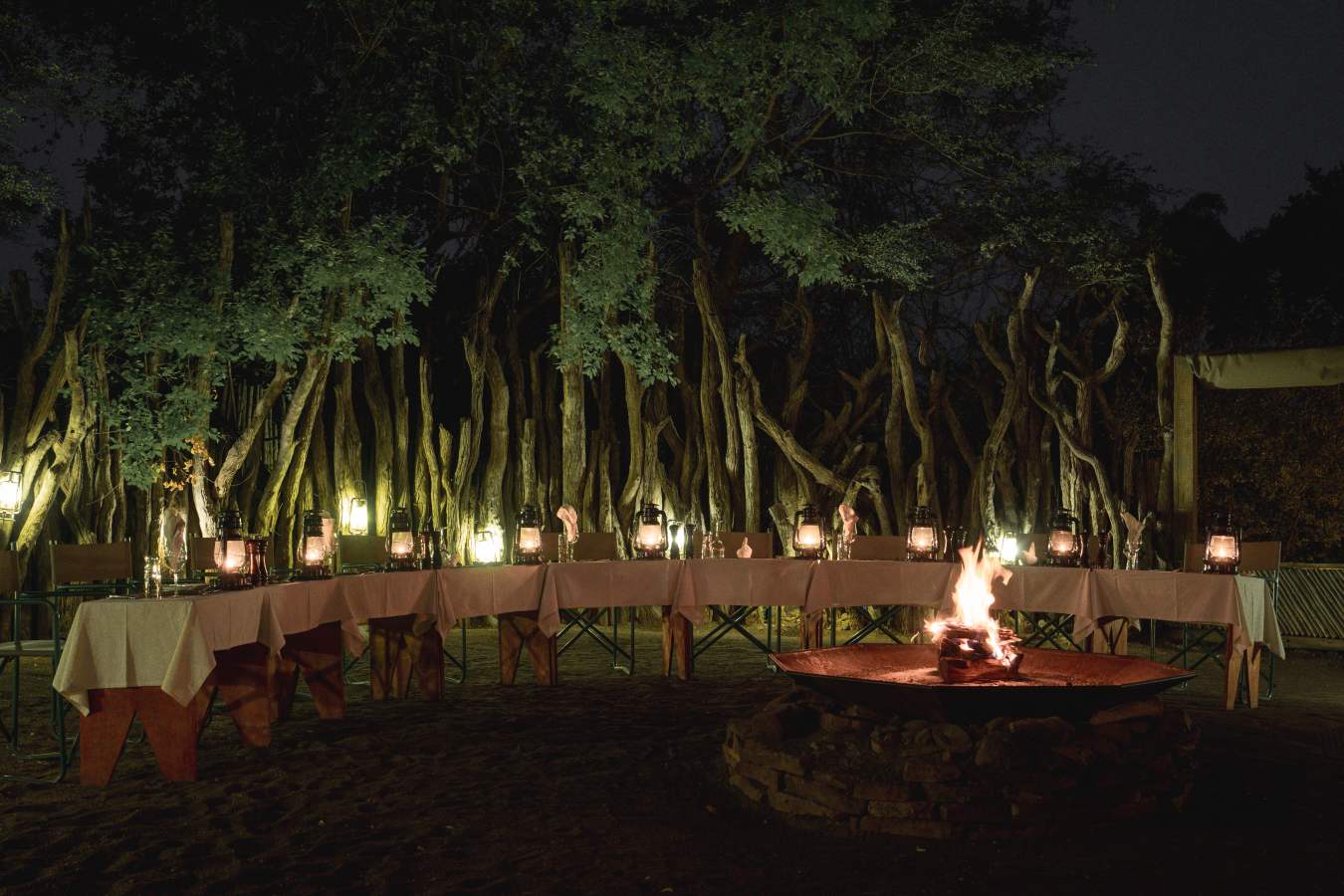 Mashatu Lodge- 17