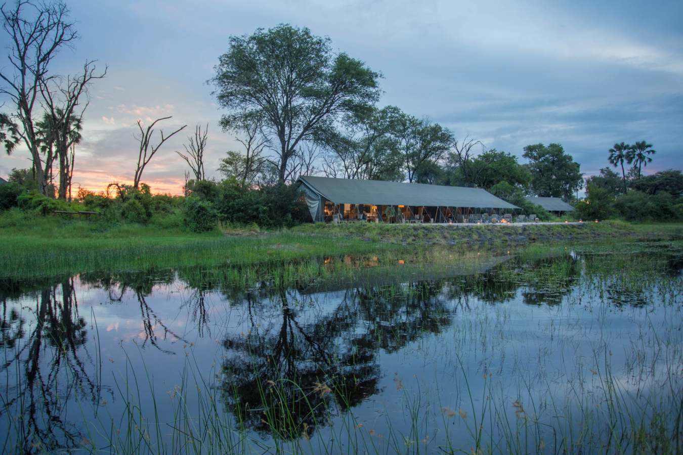 Gomoti Plains Camp 