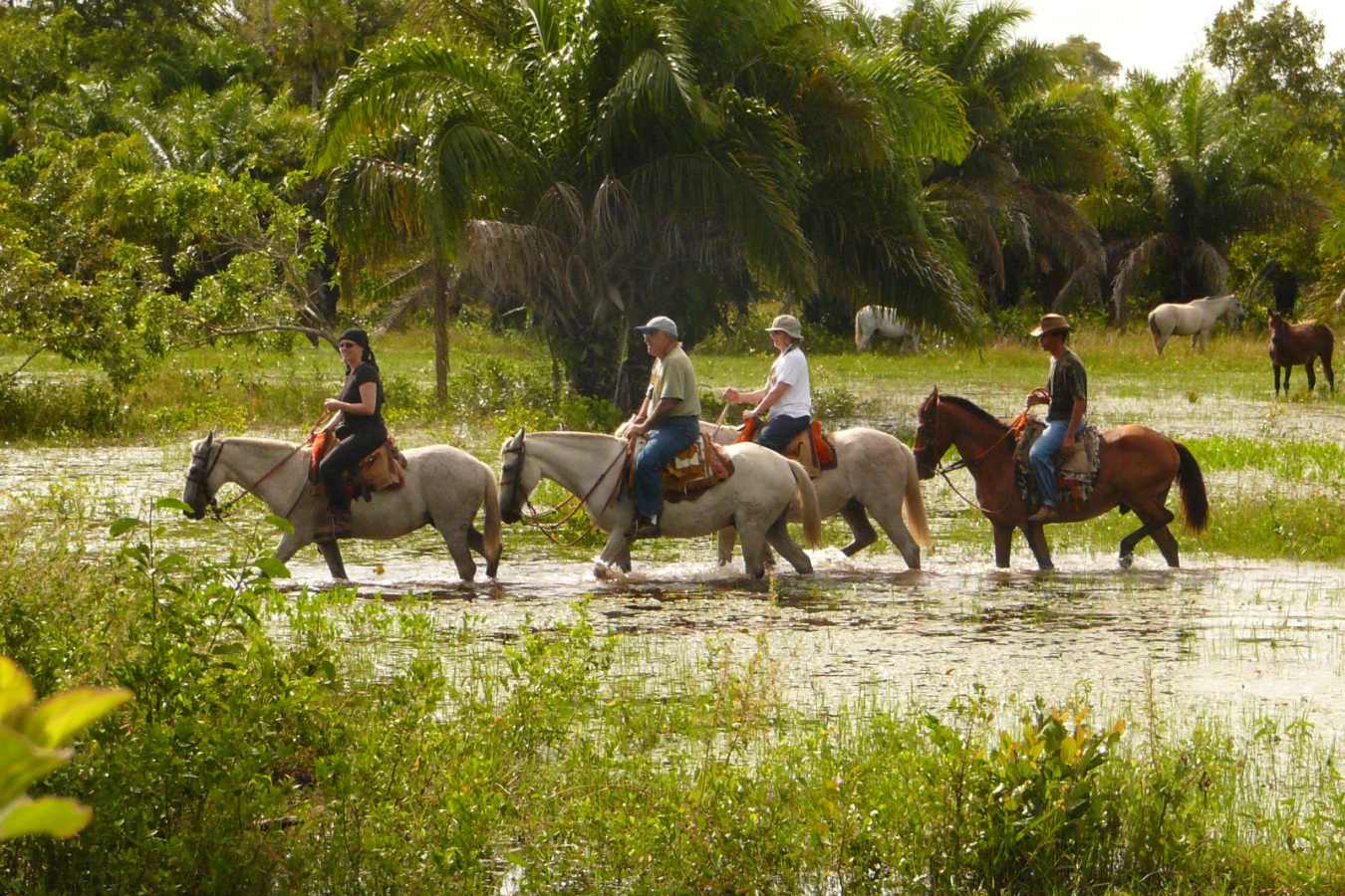 Araras Eco Lodge - Horse Ride