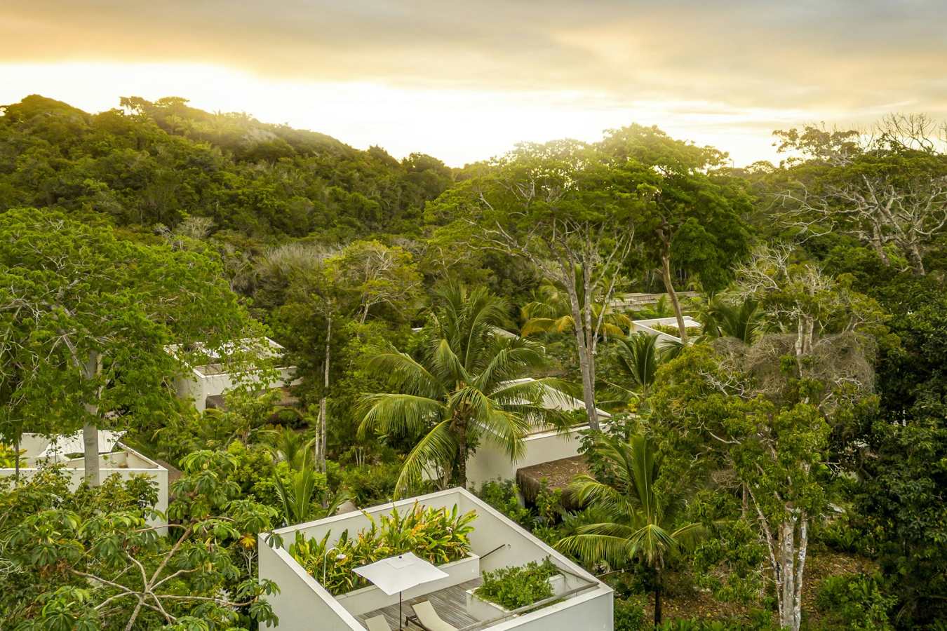 Fasano Trancoso- 16
