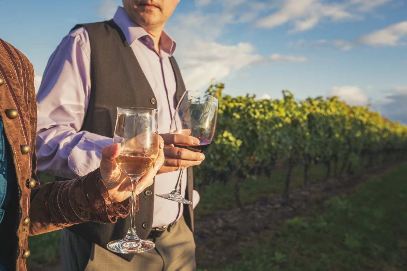 Wine Tastings - Gourmet Ontario and Quebec 