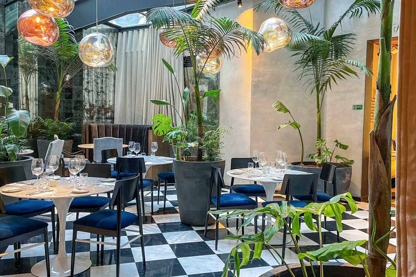 Hotel Magnolia- 7
