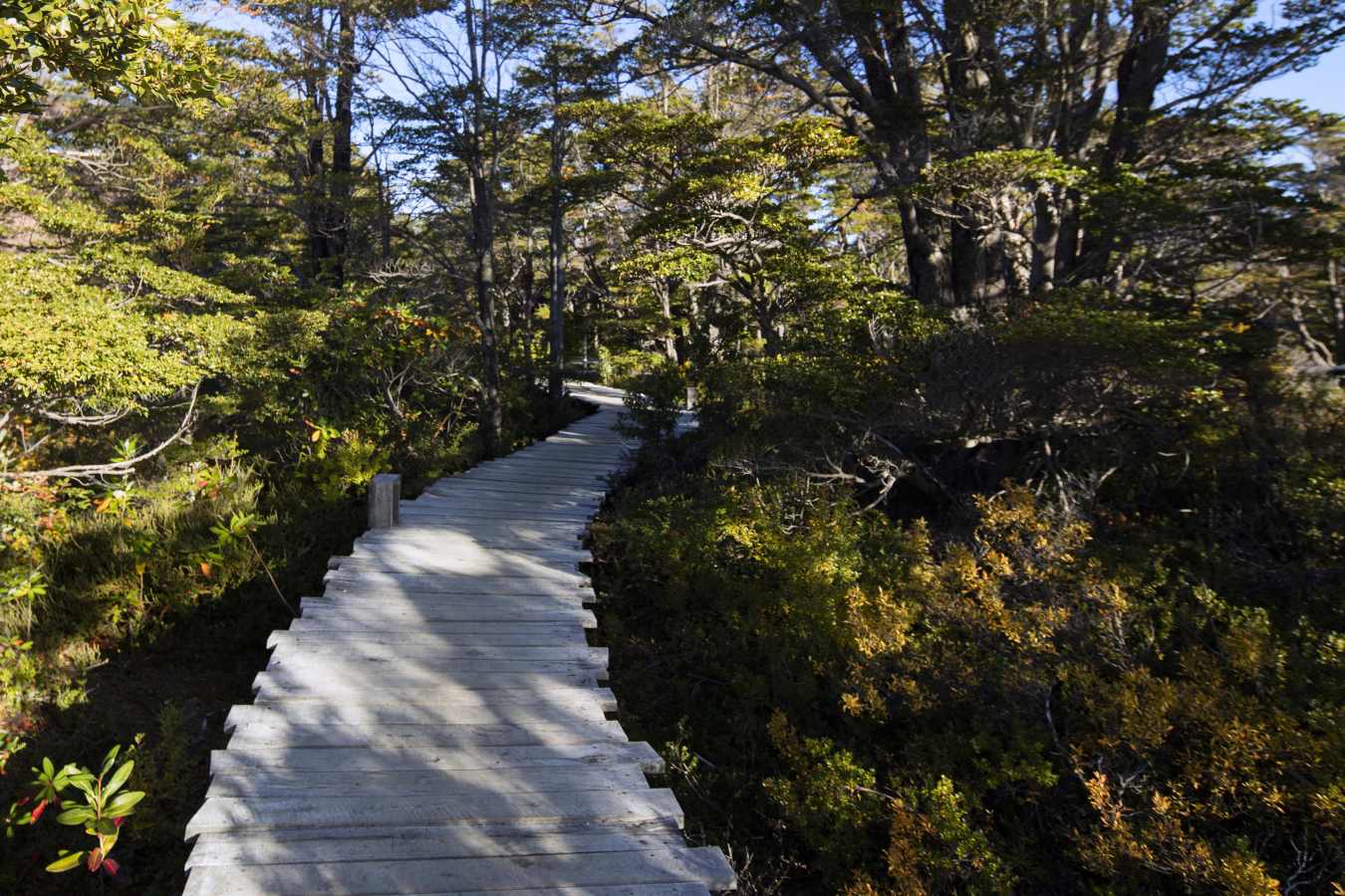Patagonia Camp- 27