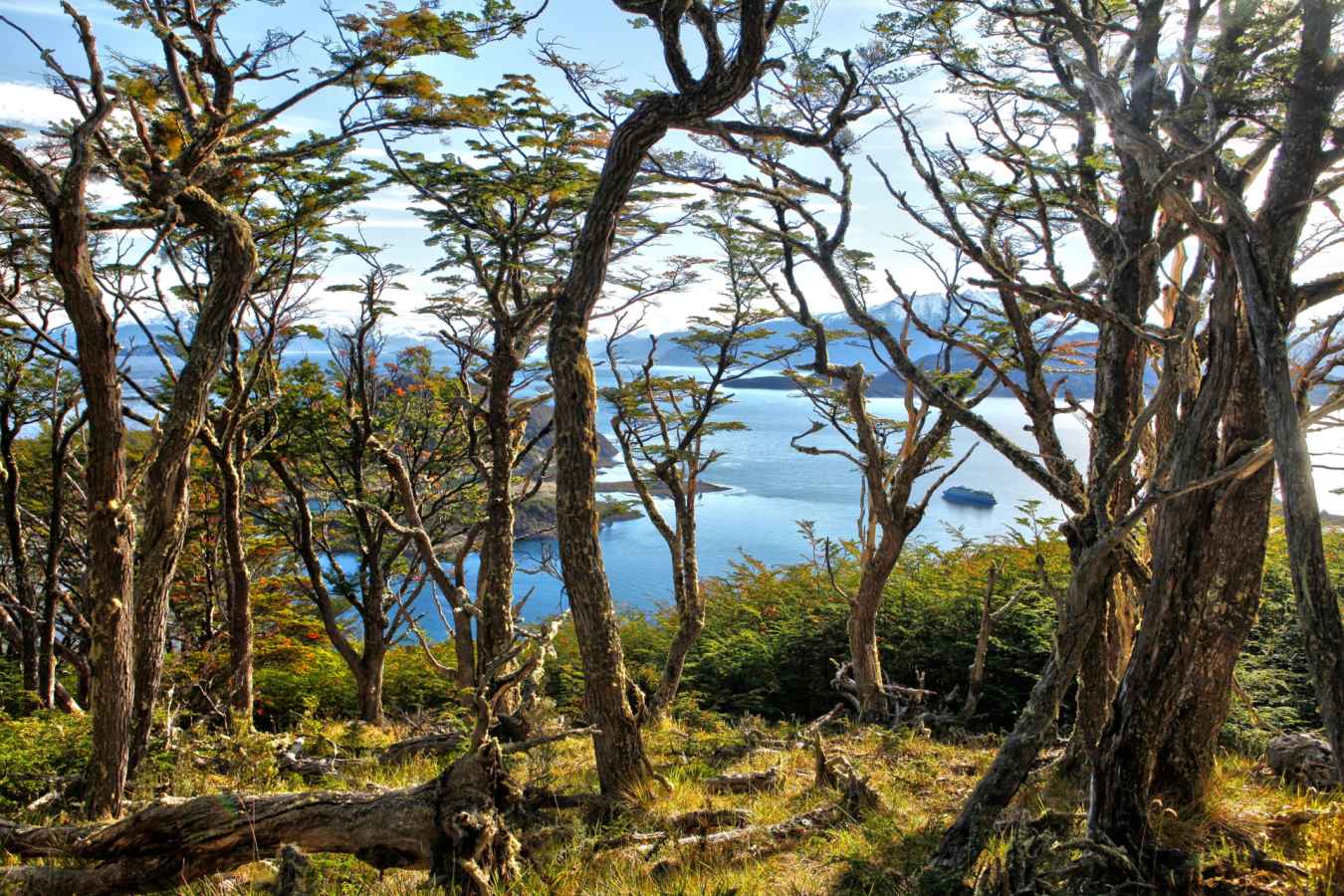 Patagonian scenery - Australis Cruises