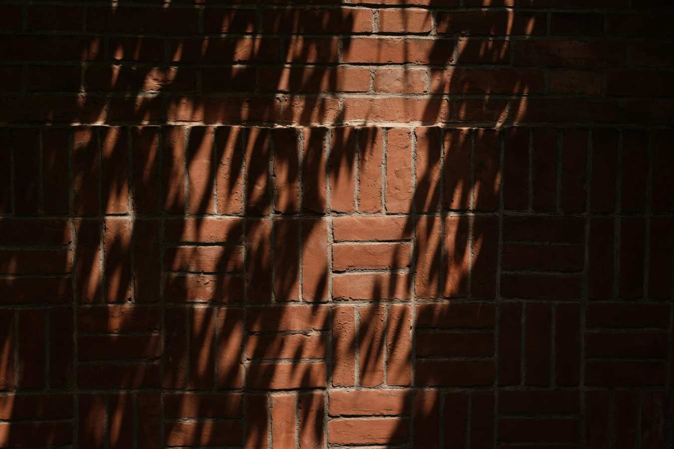 Capella Shanghai Jian Ye Li - 35