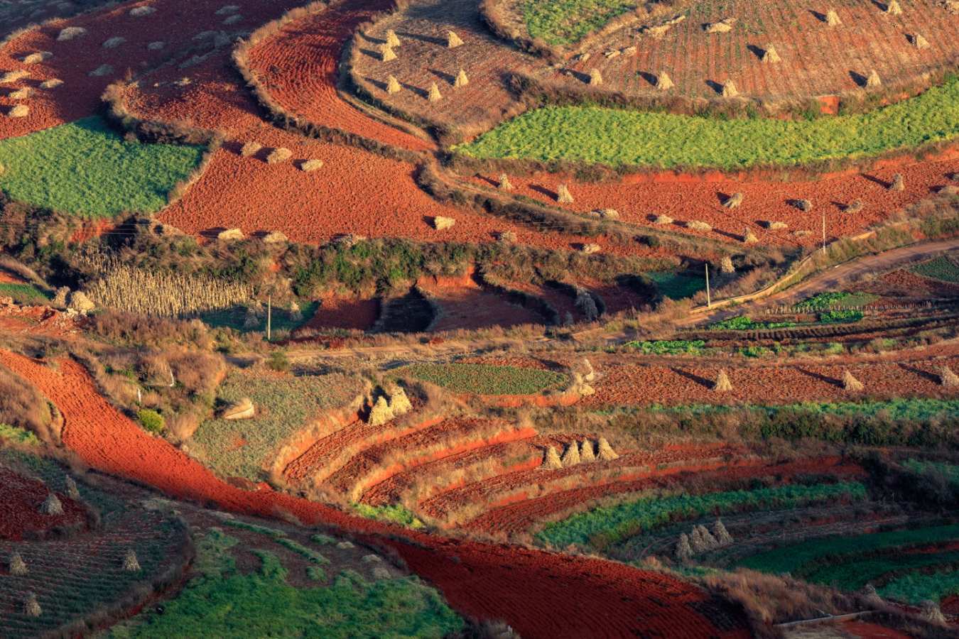 Dongchuan 