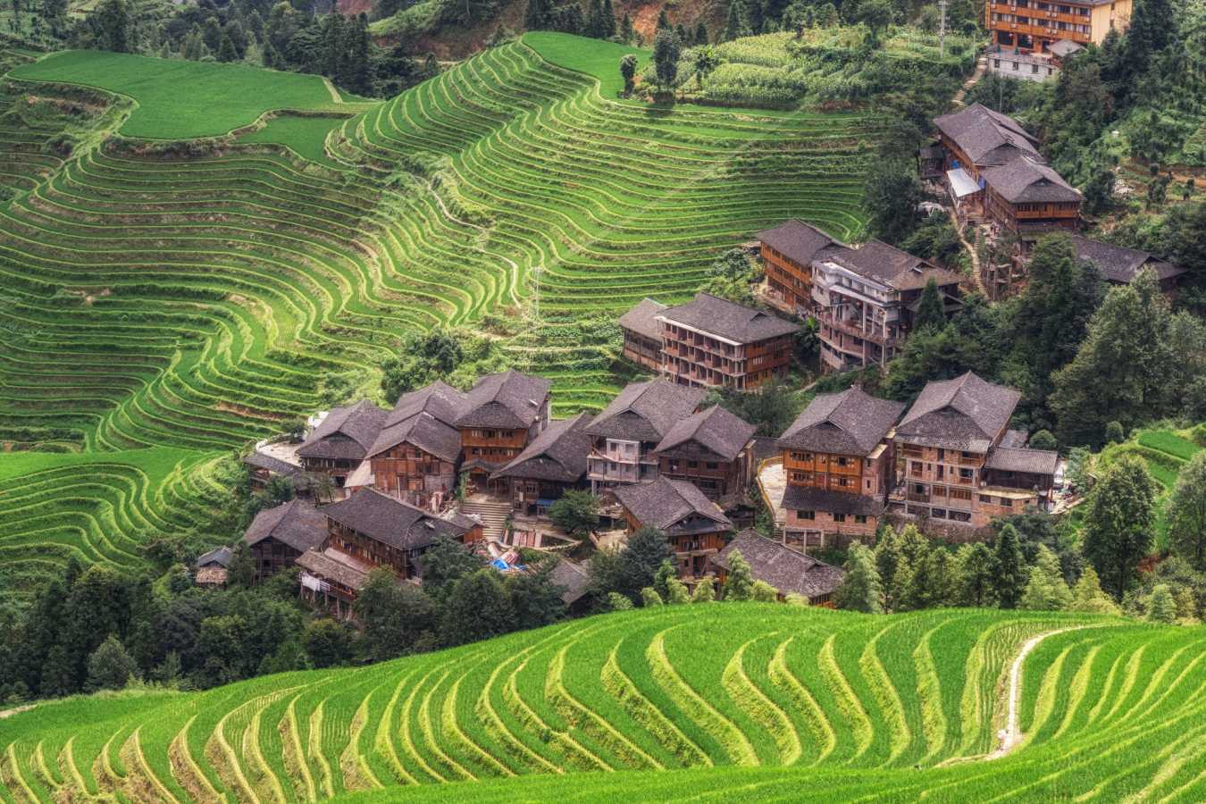 Longsheng 
