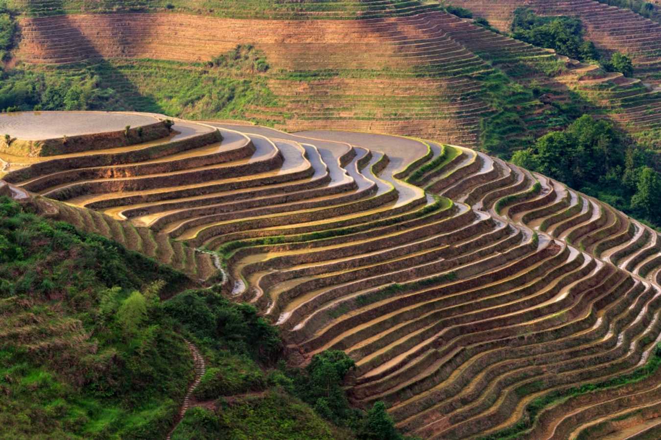 Longsheng 