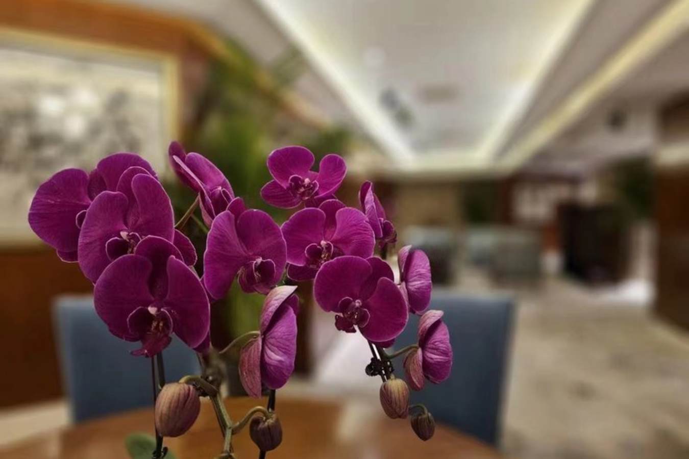 Regent Hotel Beijing- 93
