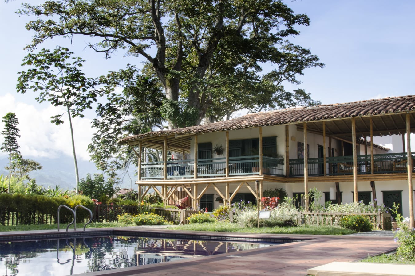 Hacienda Bambusa 5 