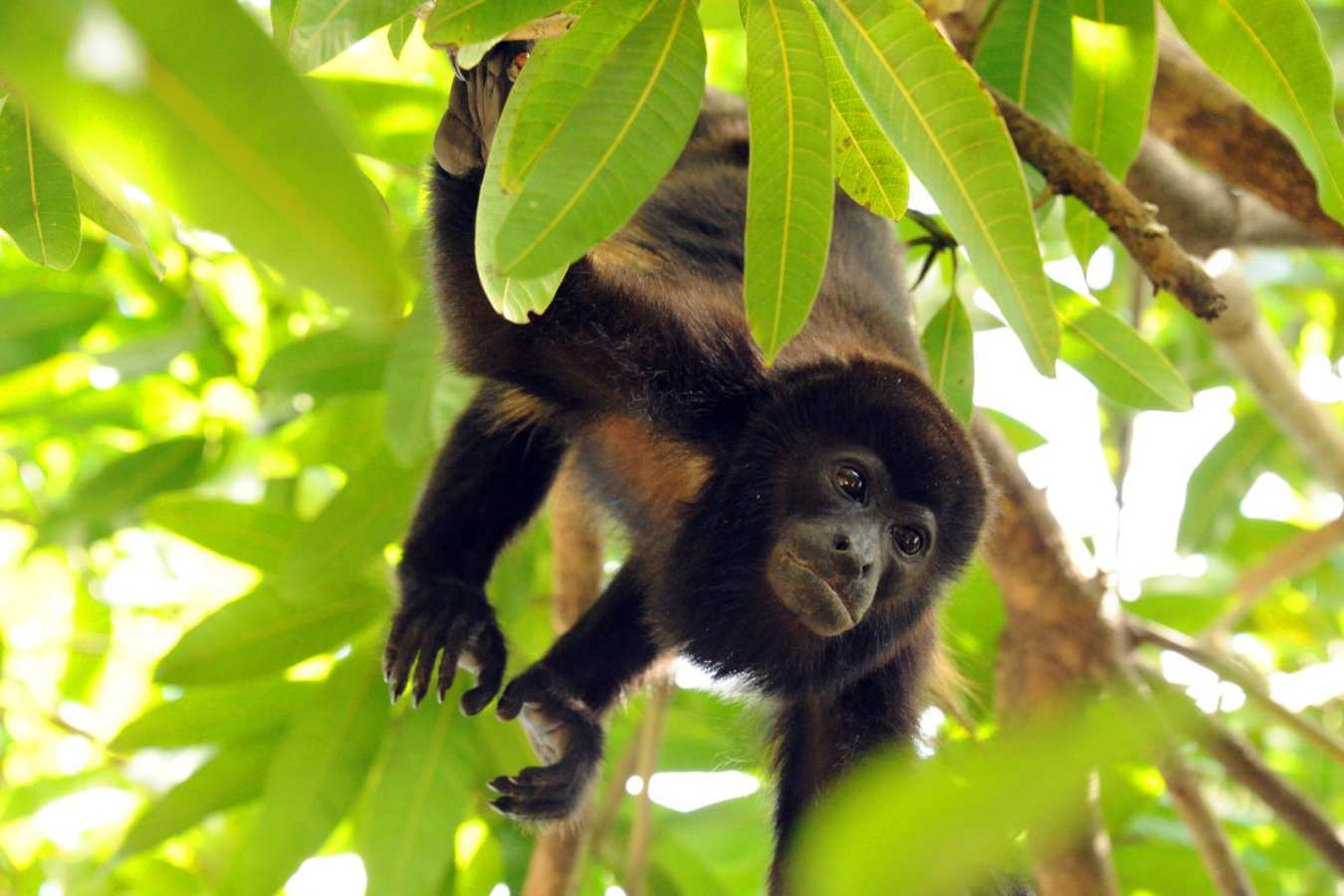 Active Costa Rica 
