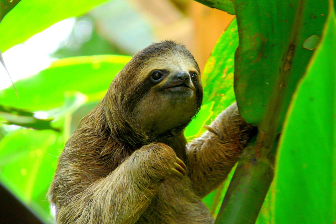 Costa Rica with Kids 