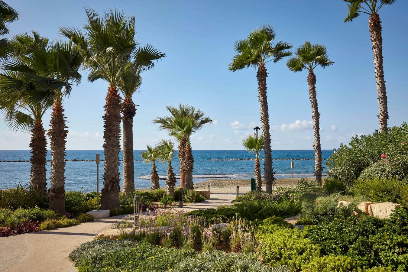 Parklane, a Luxury Collection Resort & Spa - 23