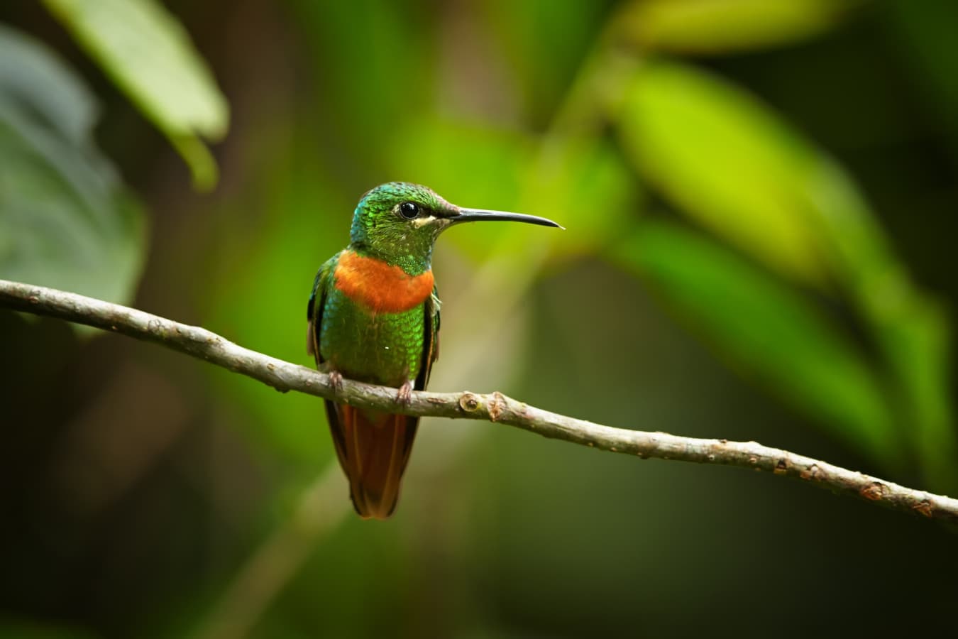 Epic Ecuador and Galapagos 