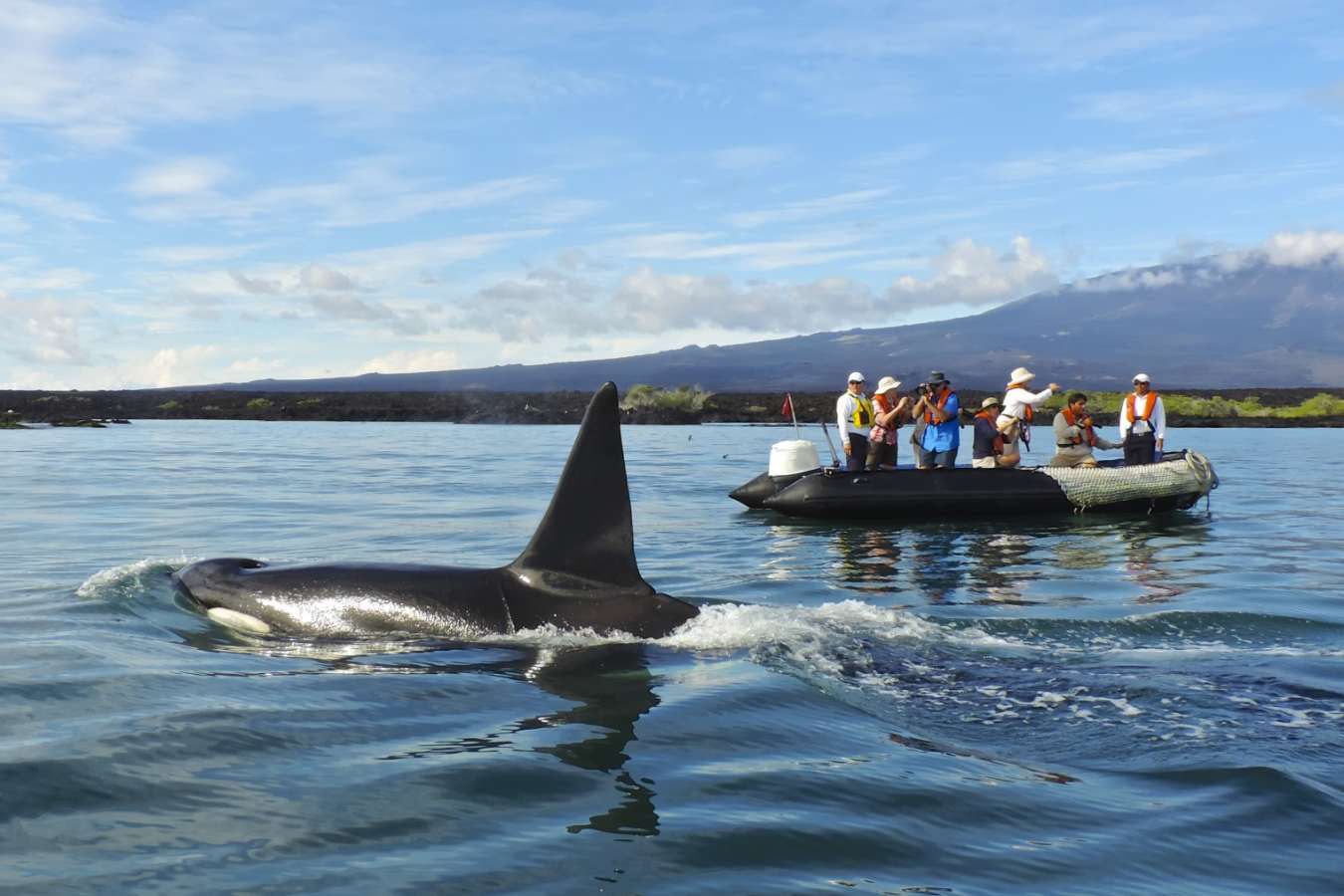 Wildlife spotting - Family Ecuador & Galapagos Islands Adventure