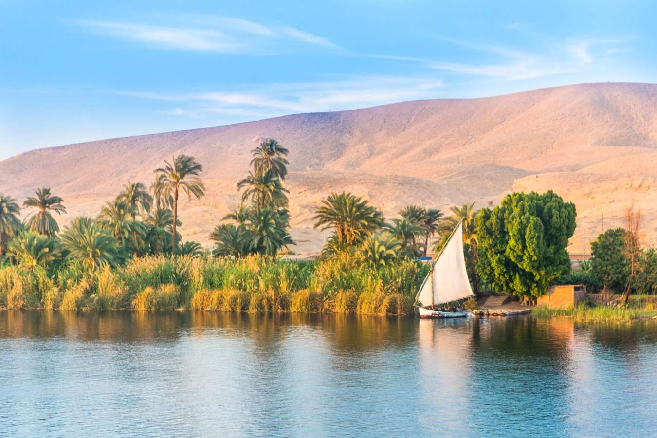 Nile Views 