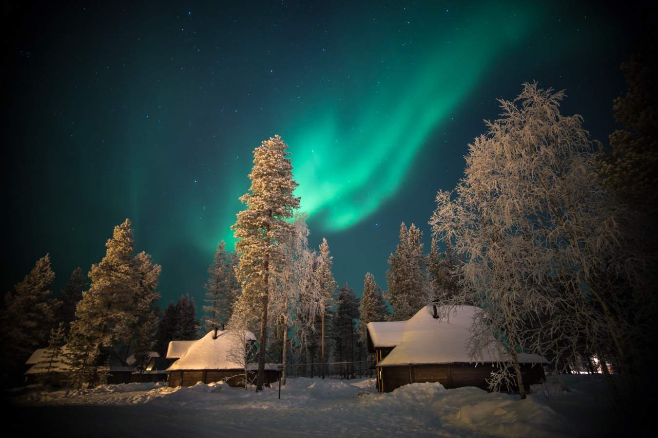 Northern Lights 