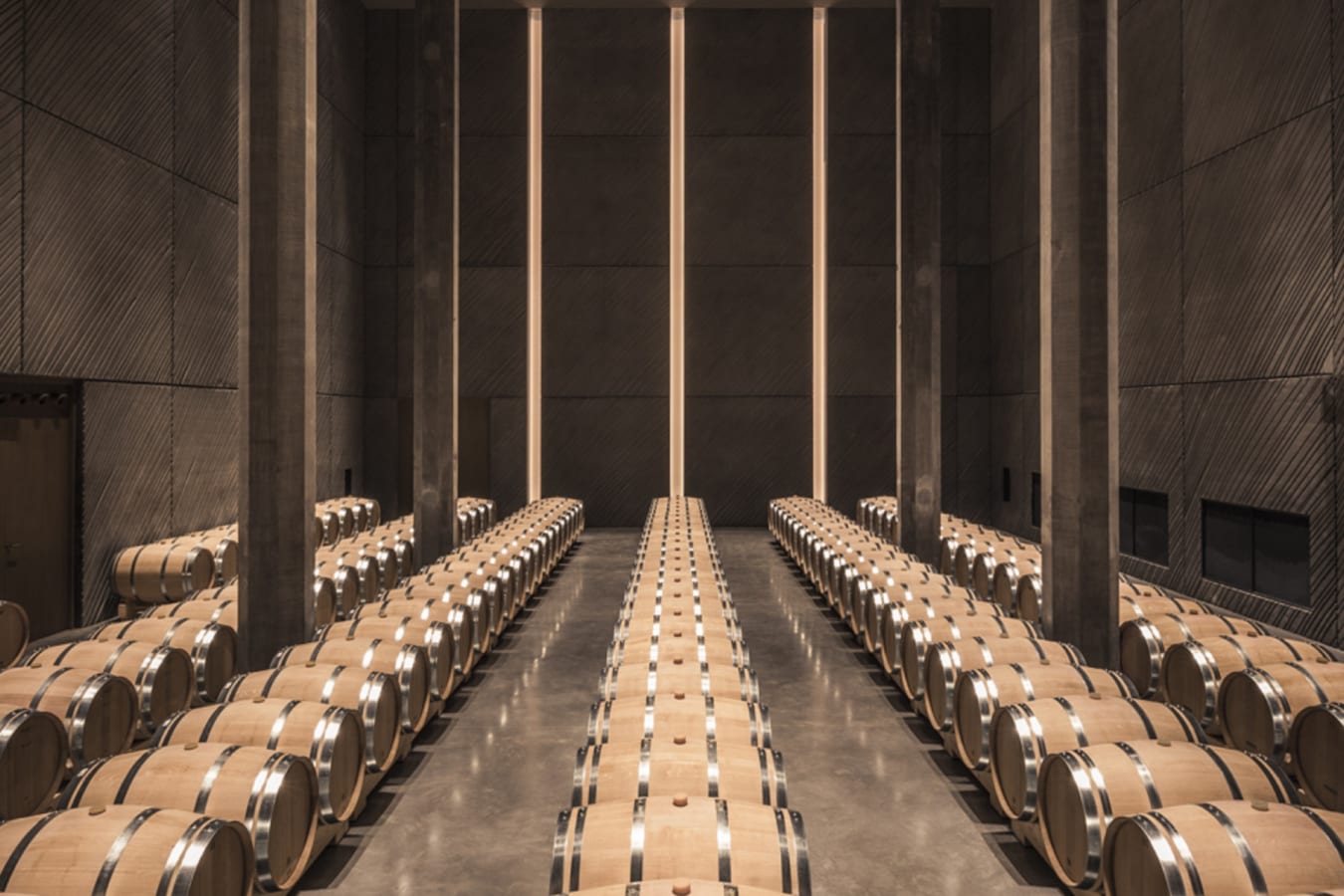 Cellar 