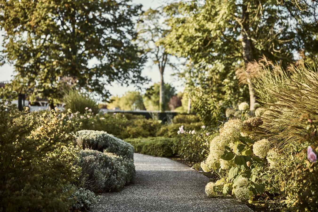 COMO Le Montrachet - 21