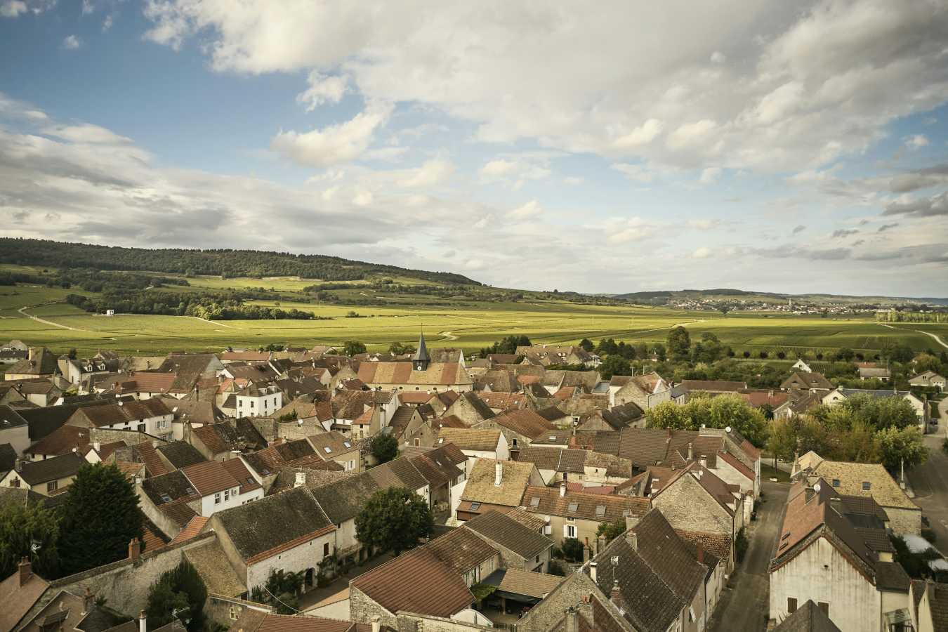 COMO Le Montrachet - 115