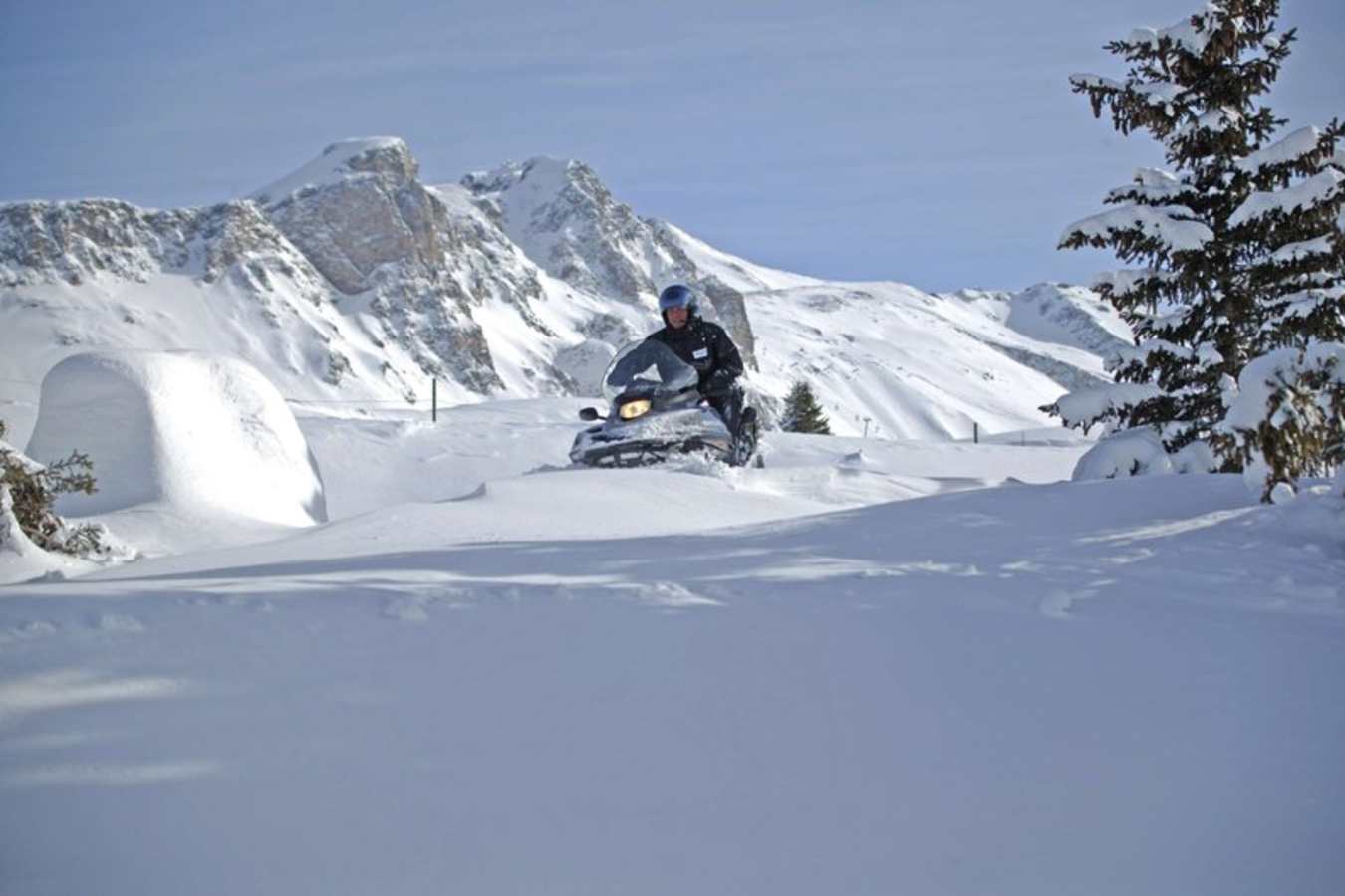 Alpen Ruitor- 20