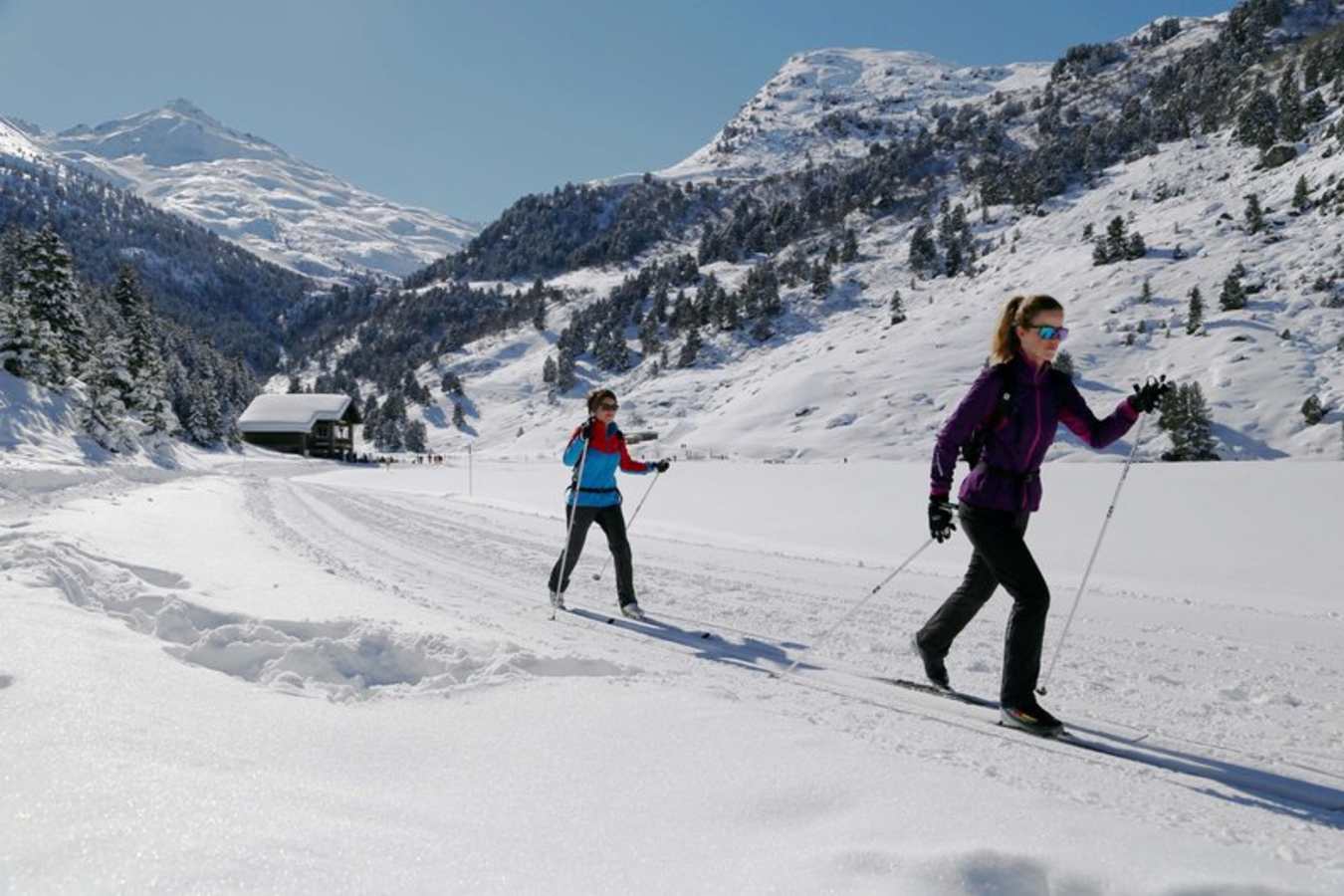 Alpen Ruitor- 29