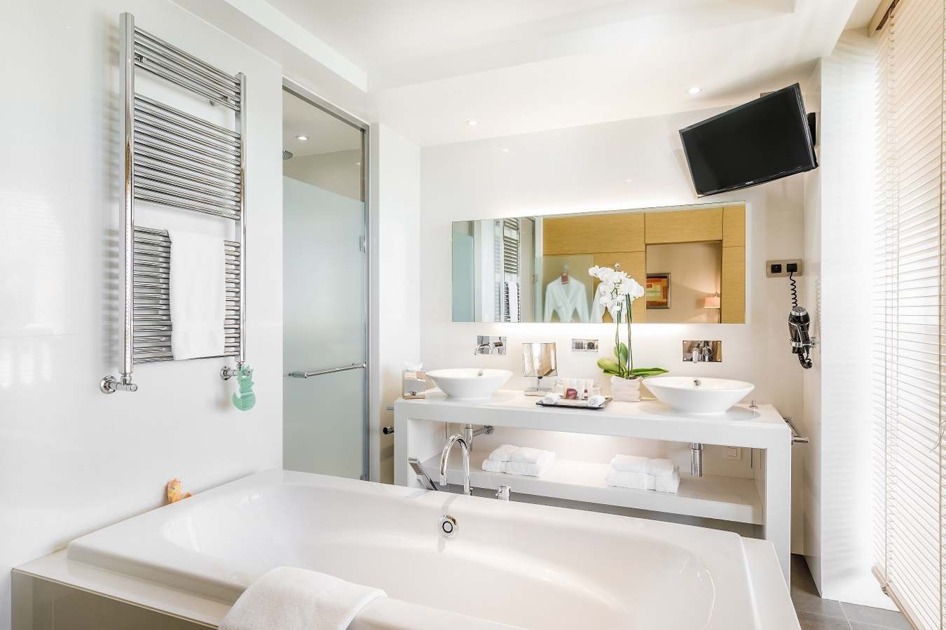 Suite Bathroom 