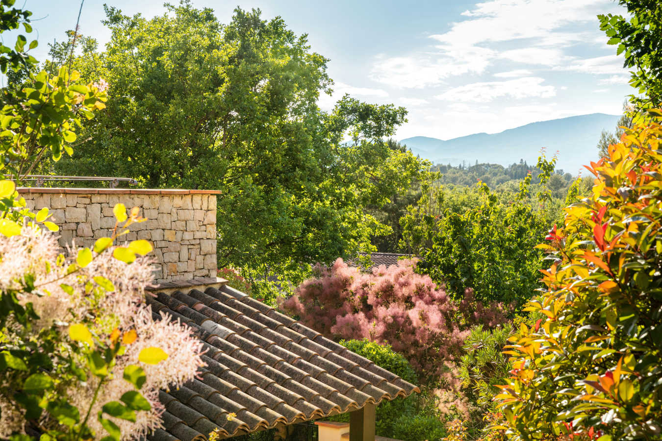 Terre Blanche Hotel Spa Golf Resort- 150