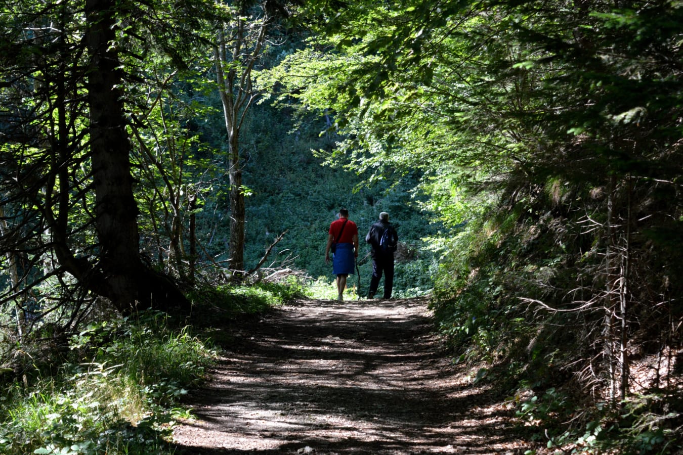Black Forest 