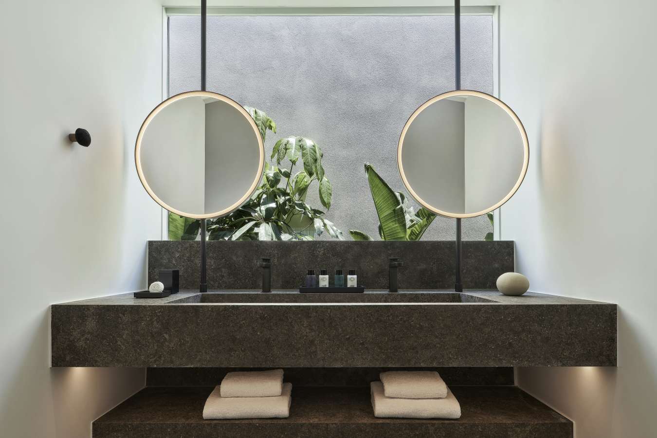 Canaves Epitome- 24