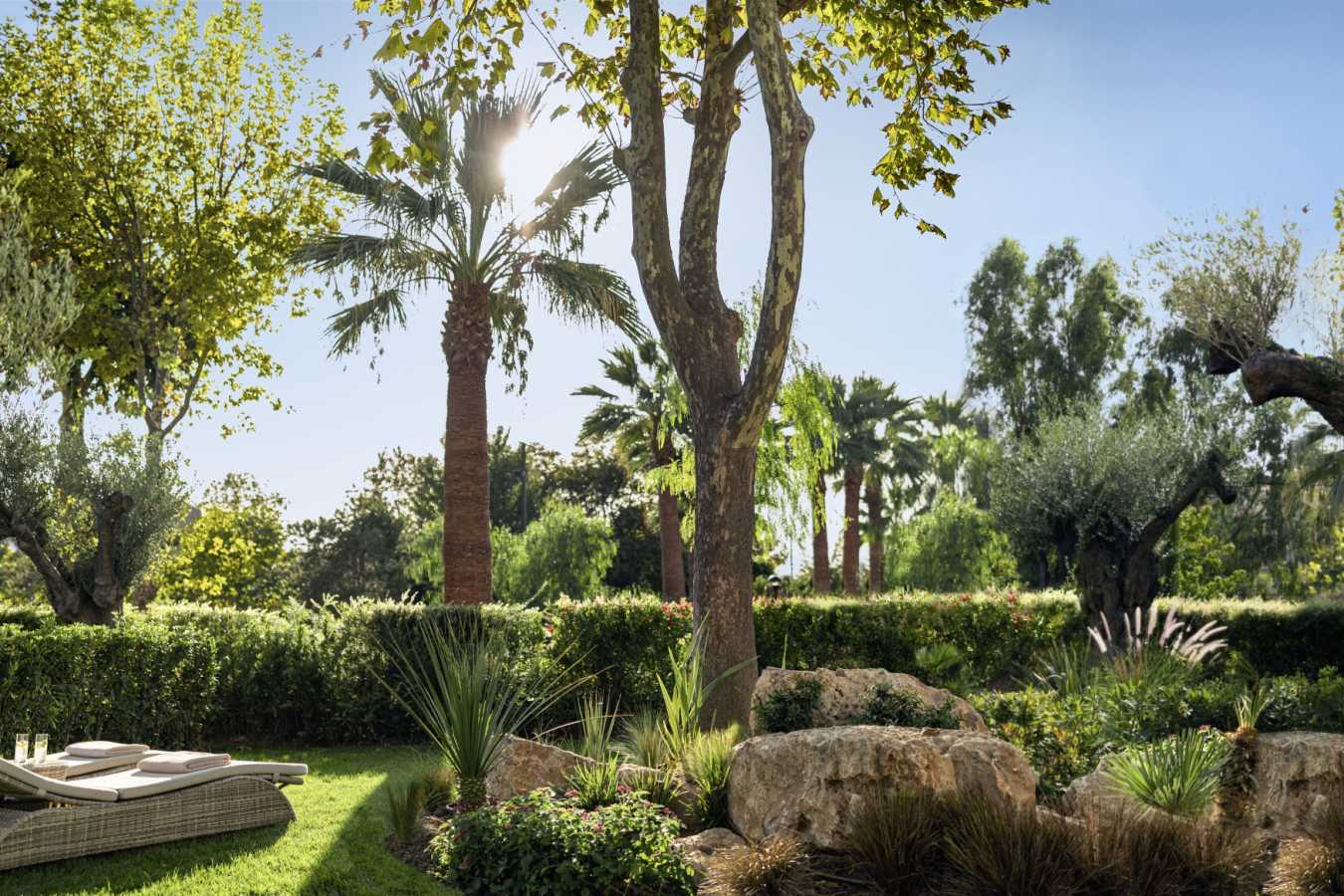 Private Terrace  Garden  