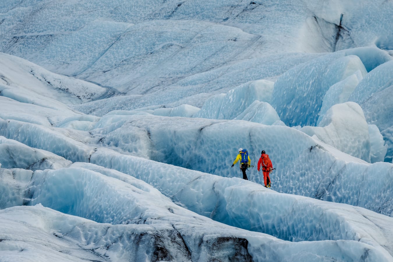 Glacier Hiking 