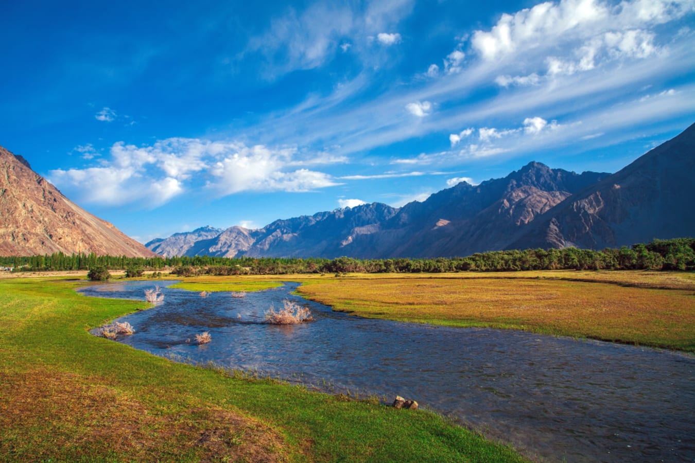 Nubra Valley in Summer 