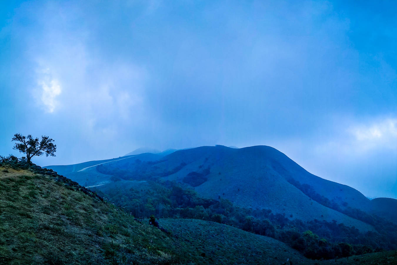 Coorg - India 