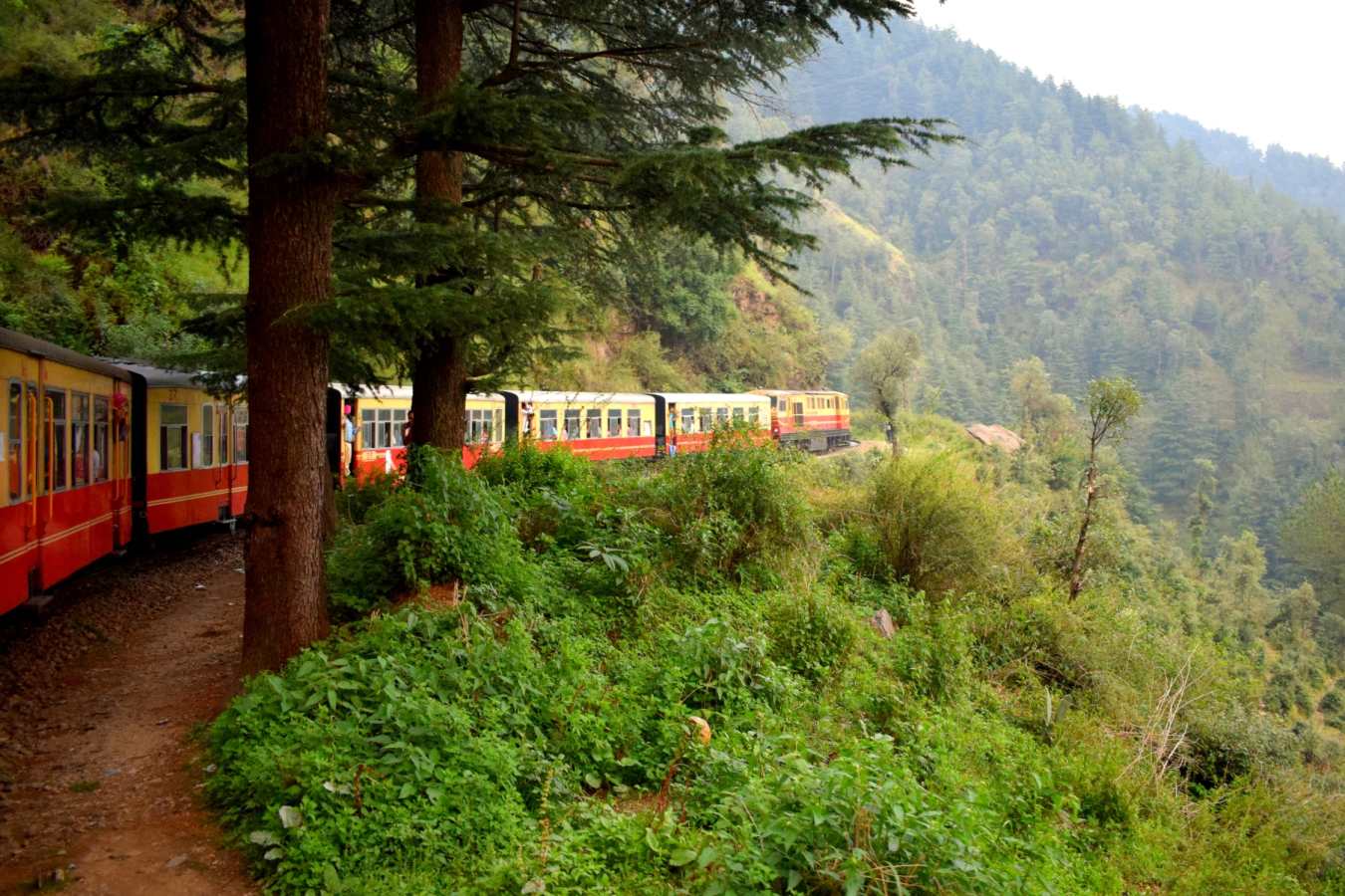 Shimla - India 
