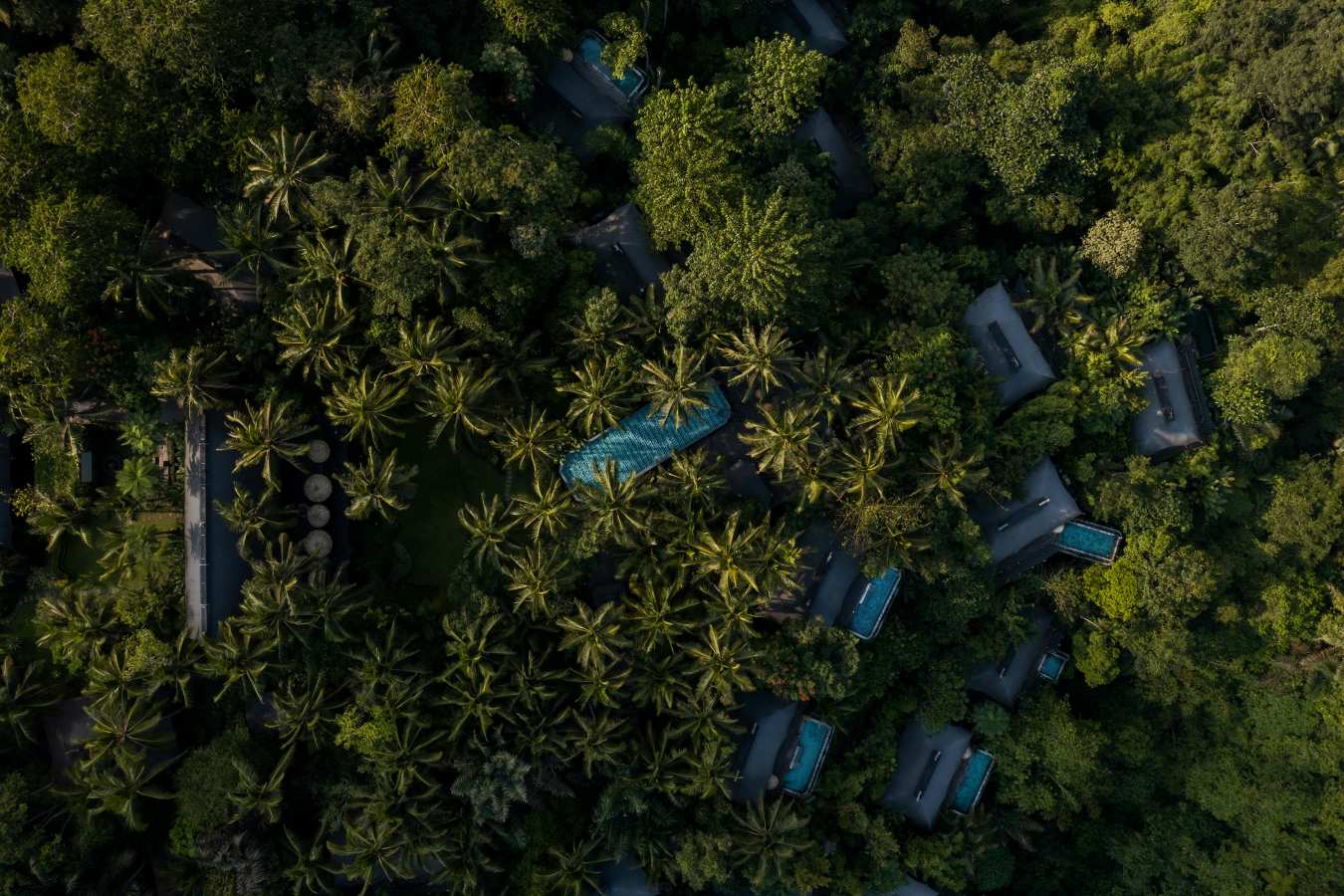 Capella Ubud - 46