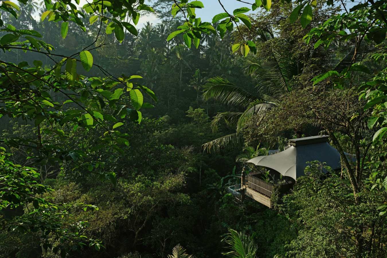 Capella Ubud - 17