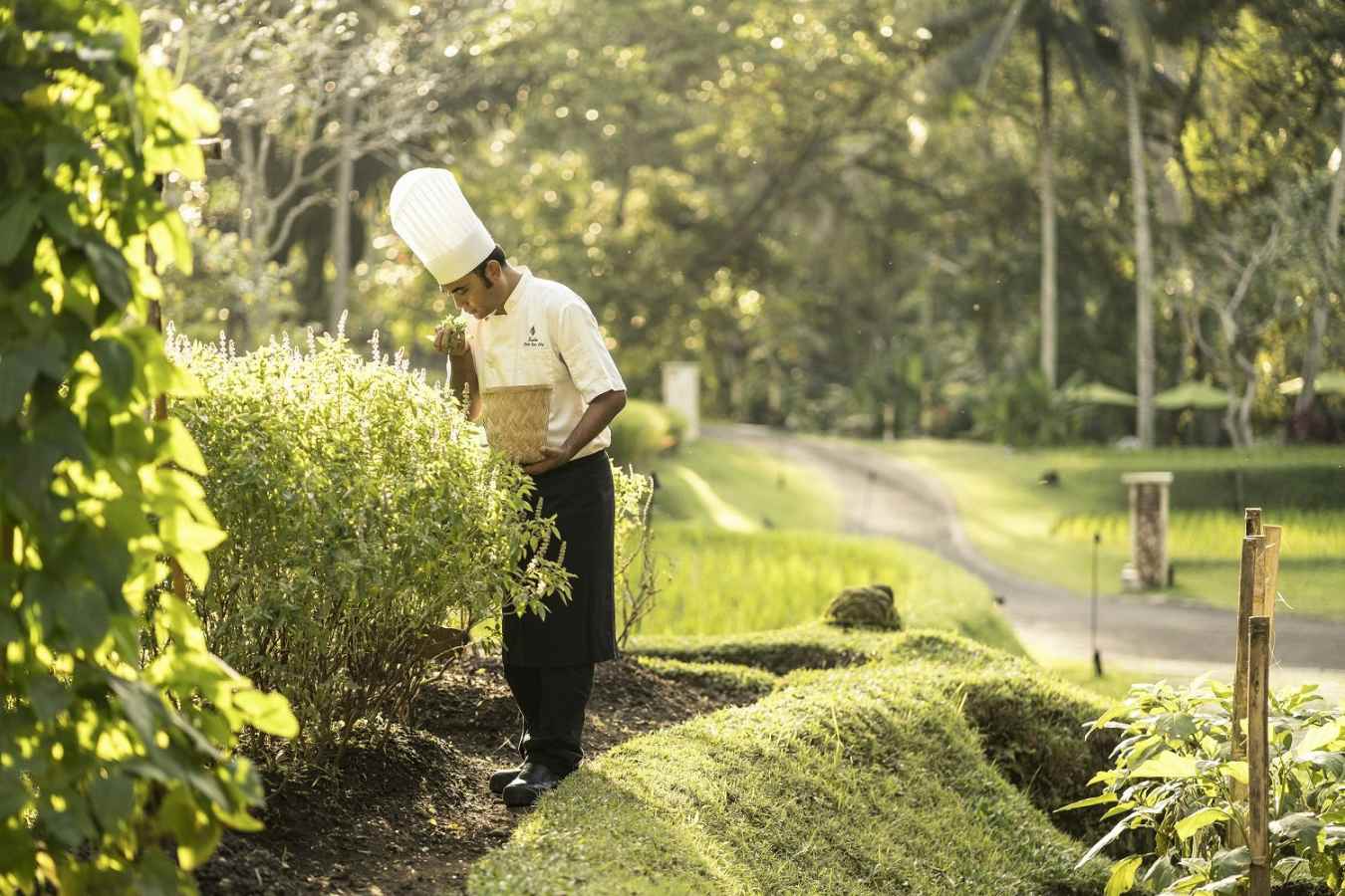 Four Seasons Resort Bali at Sayan- 61