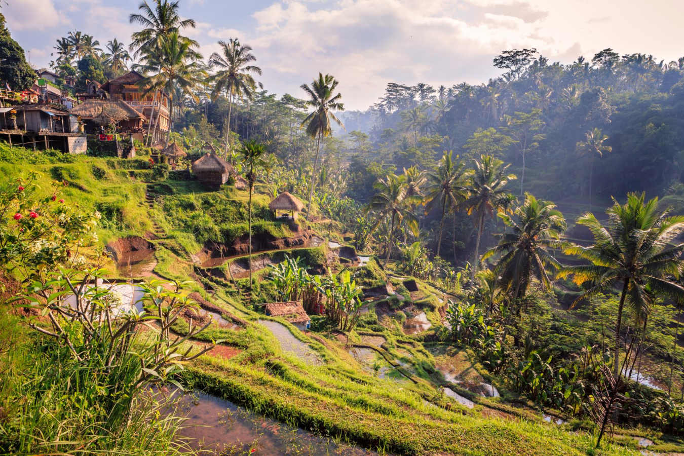Ubud Rice Terraces 