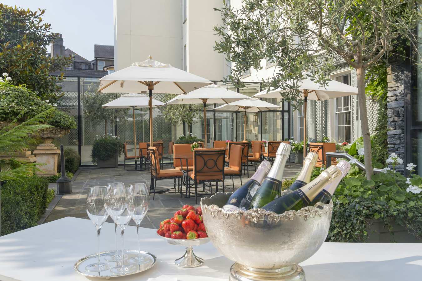 The Merrion- 41