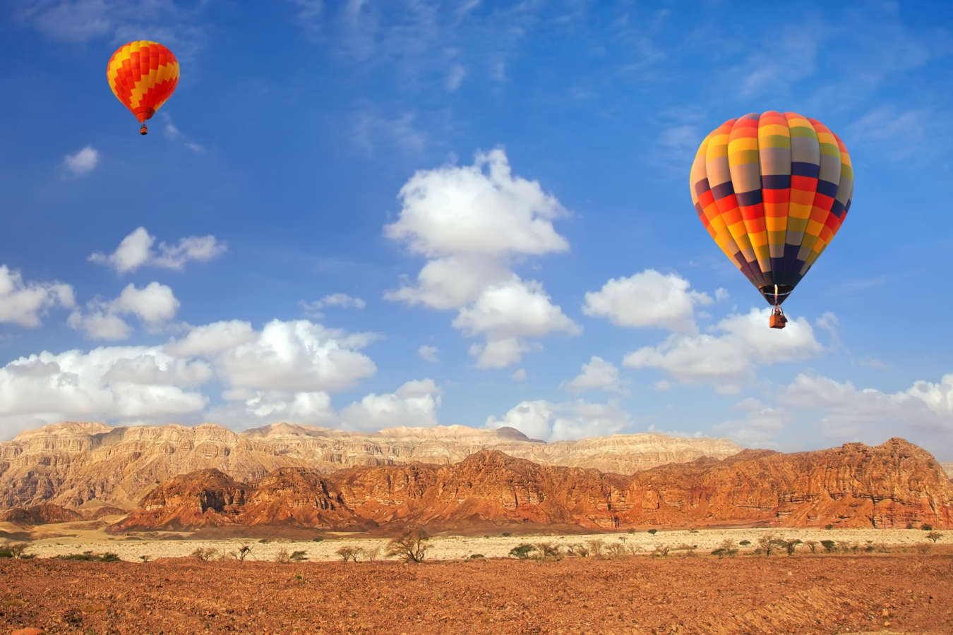 Hot Air Balloon      
