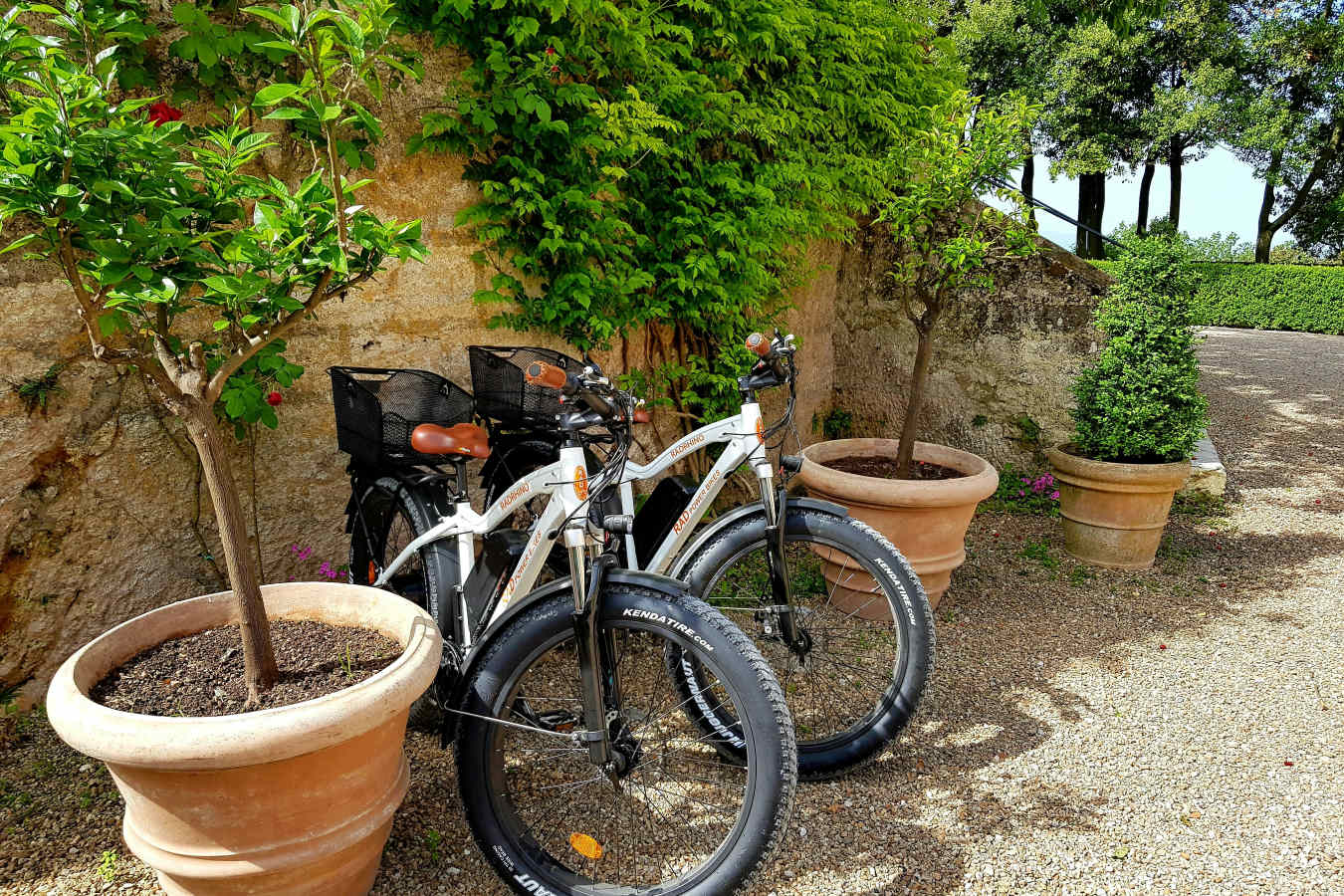 Borgo Pignano- 86