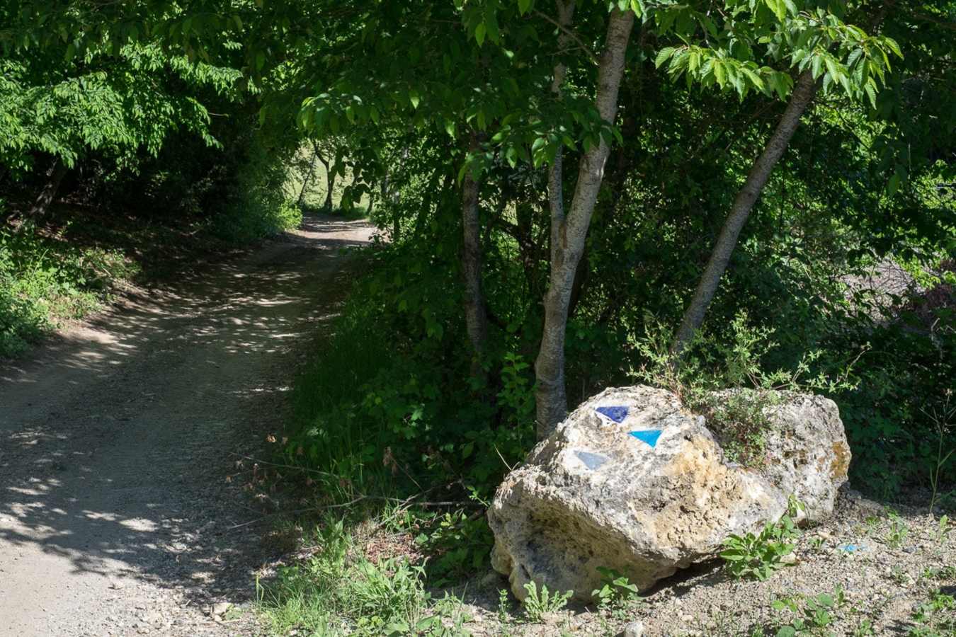 Borgo Pignano- 89