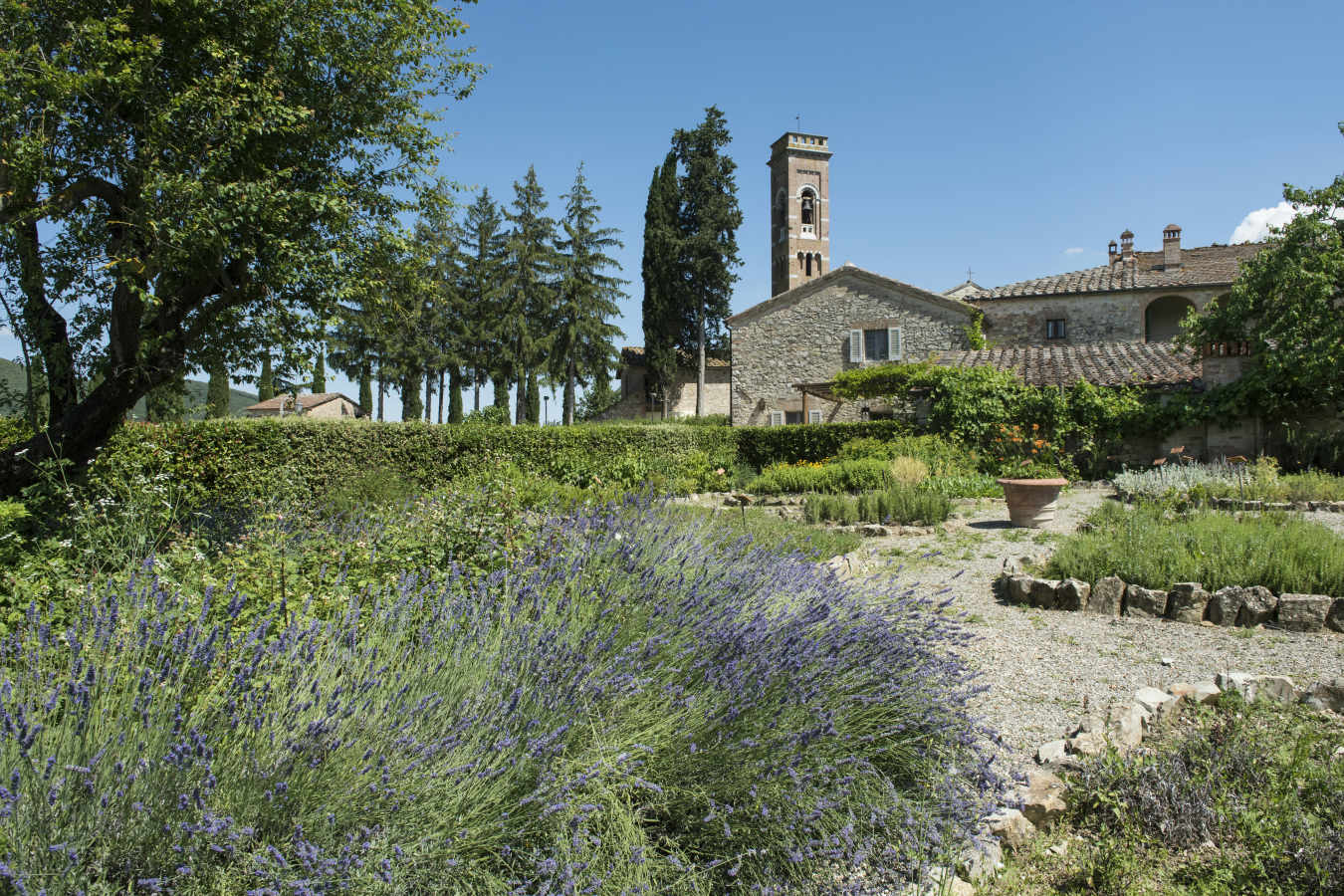 Borgo San Felice - 37