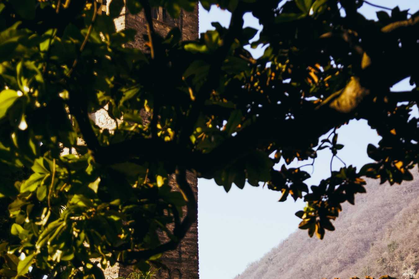 Passalacqua