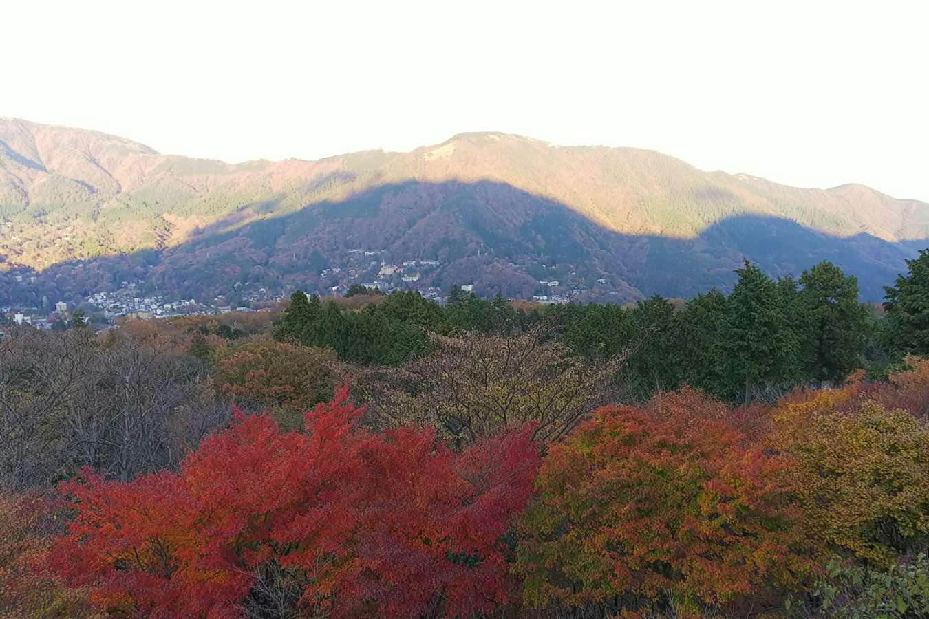 Hakone Gora Byakudan- 24