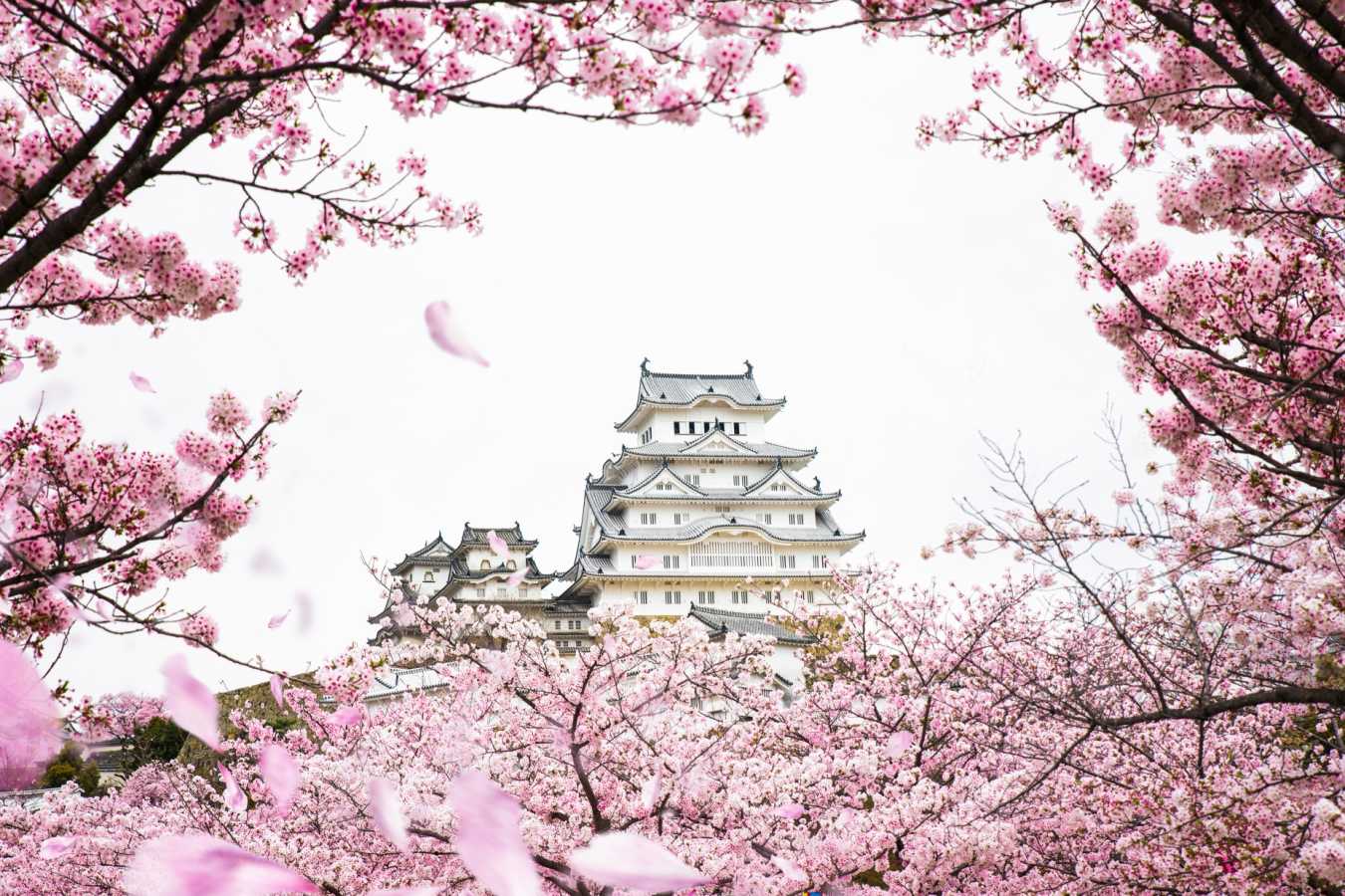 Himeji Castle 