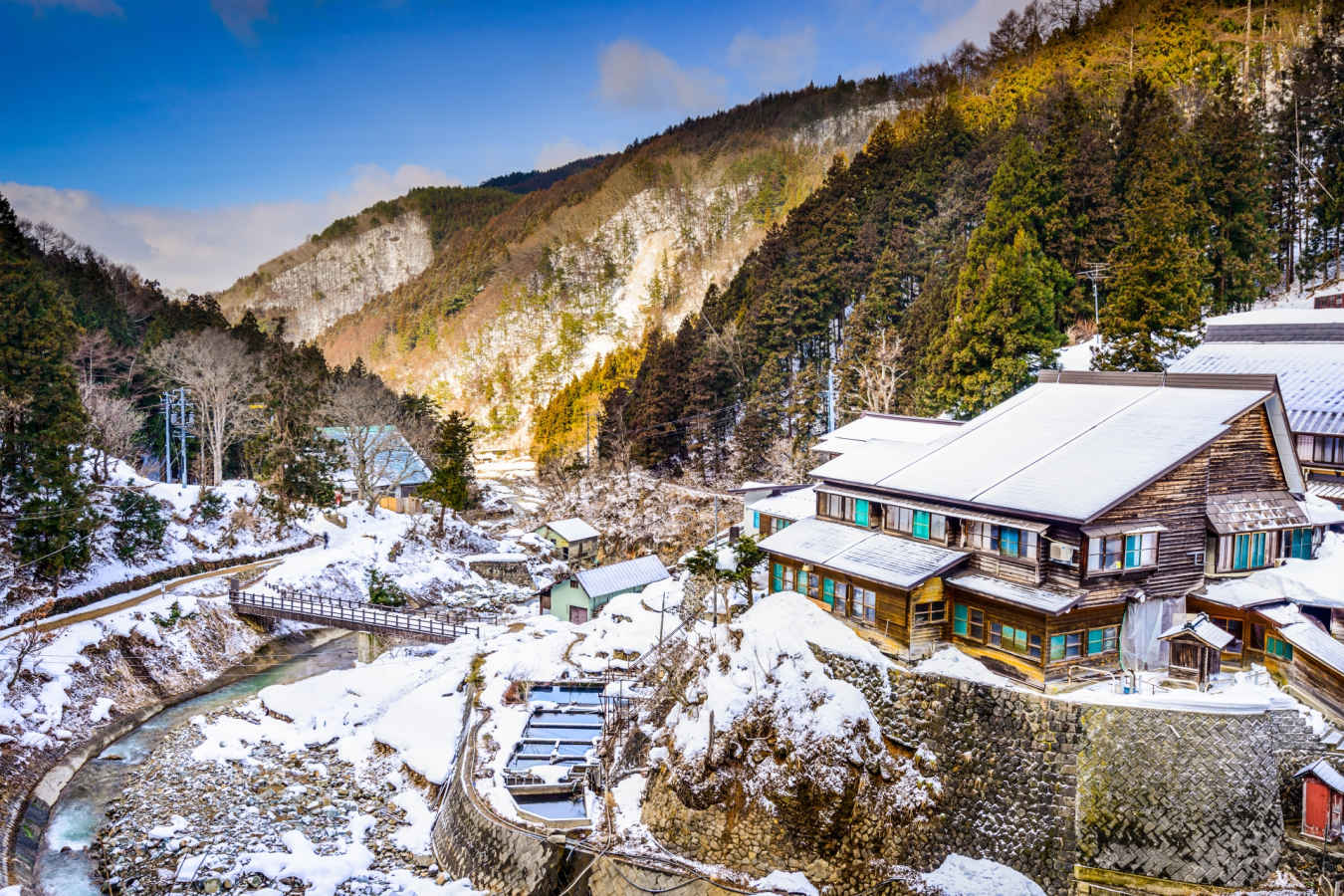 Snow Monkey Park 