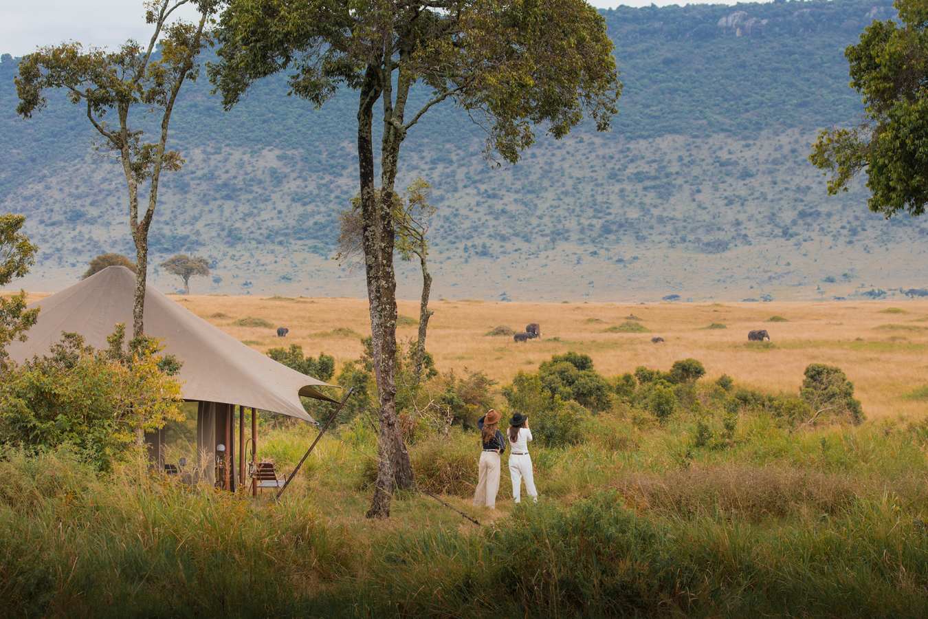 Angama Safari Camp- 50